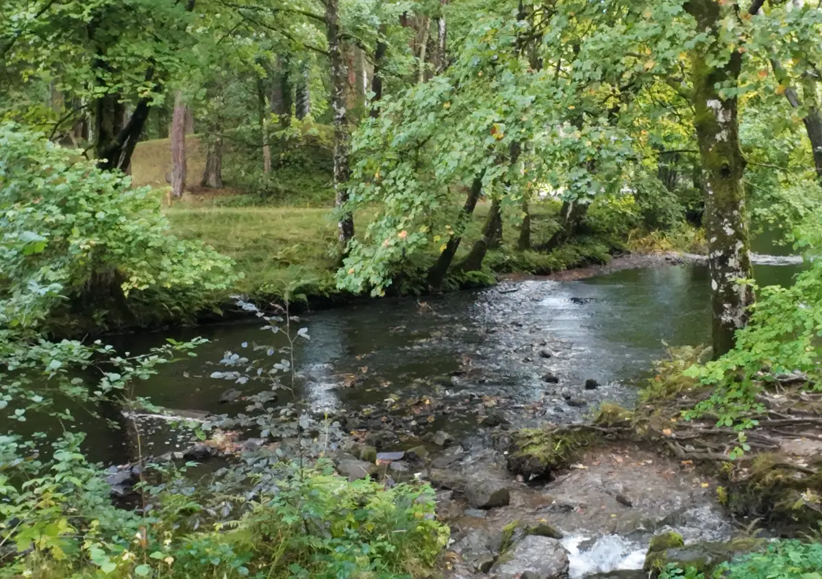 A clear, rocky river running beneath green trees